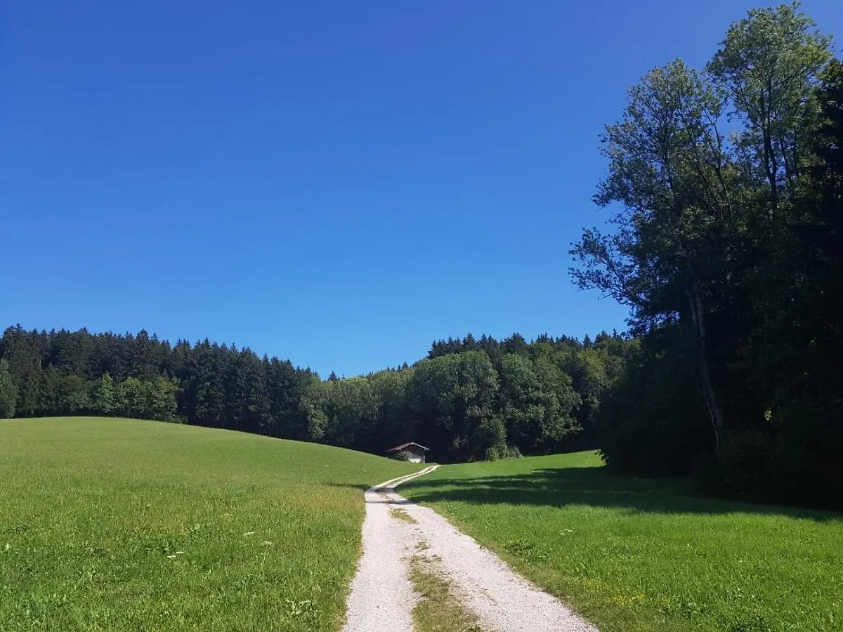 Ferienhaus Chiemgauer Auszeit- Chiemgaukarte Inclusive Siegsdorf 0*,