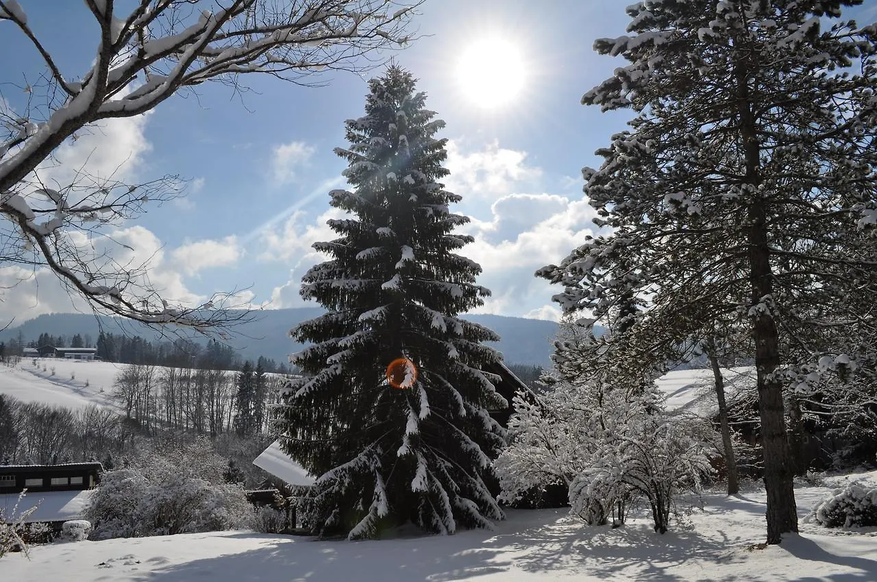 Ferienhaus Chiemgauer Auszeit- Chiemgaukarte Inclusive Siegsdorf Germany