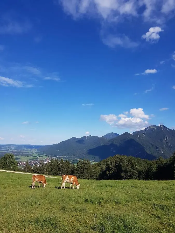 Ferienhaus Chiemgauer Auszeit- Chiemgaukarte Inclusive Siegsdorf 0*,  Germany